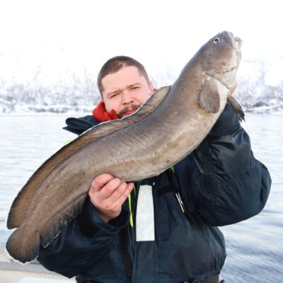 Large brosme caught on private fishing tour