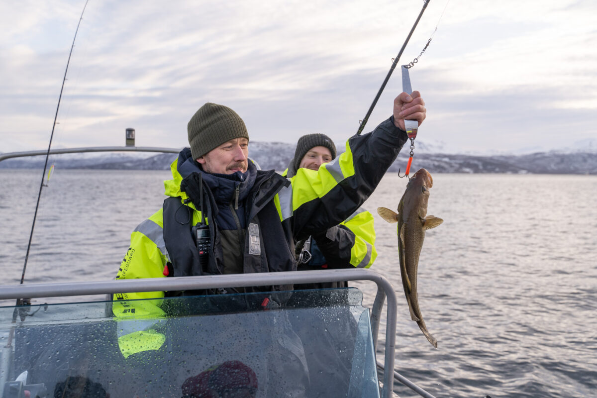 Small fish caught on a private fishing tour Tromsø