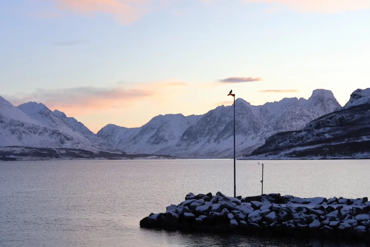 Snowy fjord and mountains at sunset with bird on lamppost near Tromsø
