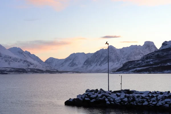 Snowy fjord and mountains at sunset with bird on lamppost near Tromsø