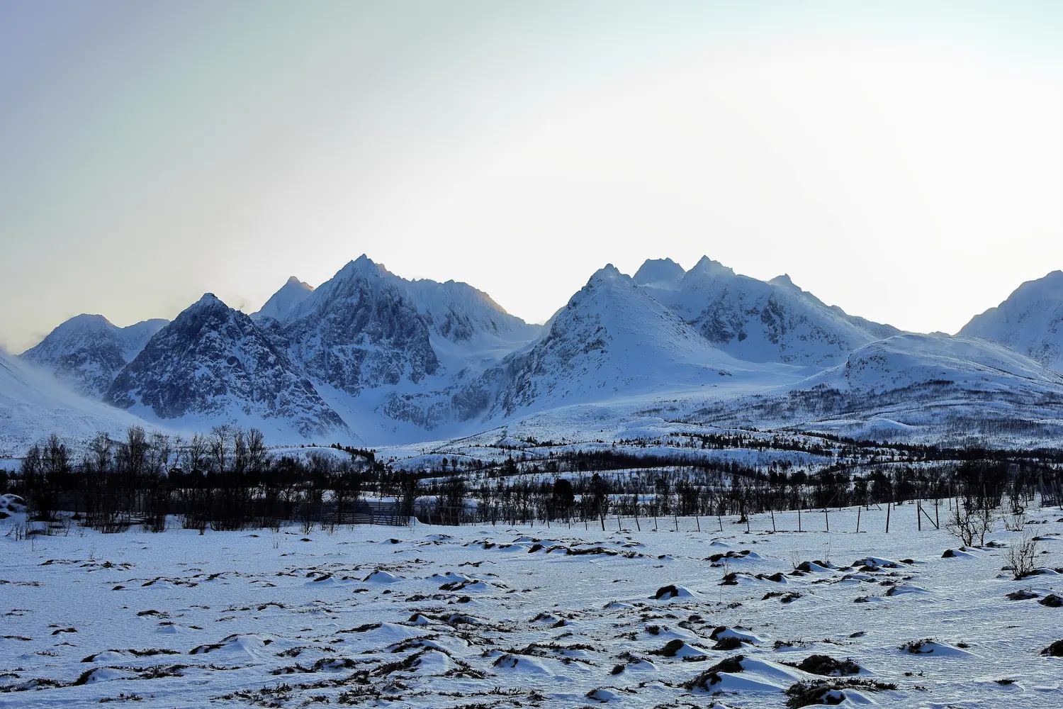 Snow-covered Lyngen Alps rising behind a frozen plateau with scattered trees in Arctic winter light