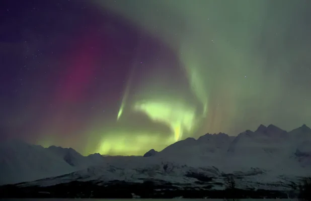 Northern Lights glowing in green and purple above snowy Arctic mountains near Tromsø