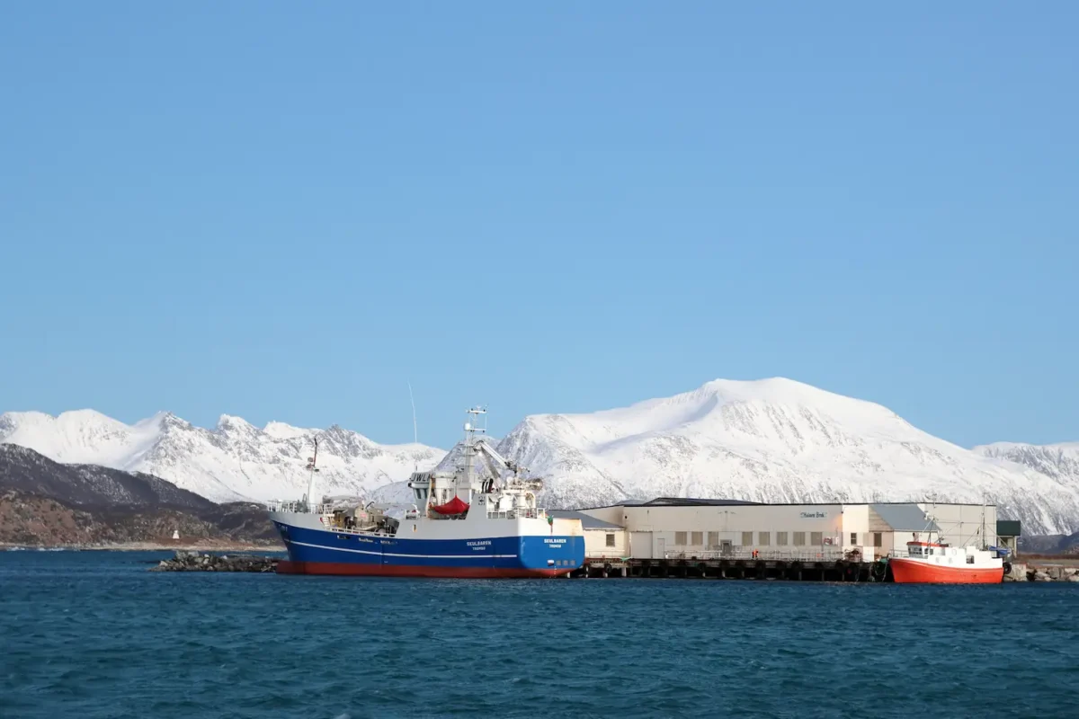 Fishing boats docked at Sommarøy harbour with snowy mountains in the background under clear blue sky