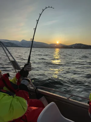 Guest fishing at sunset during a private Arctic fishing tour near Tromsø in winter