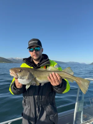 Guest holding a freshly caught cod during a private Arctic fishing tour in Tromsø, Norway.