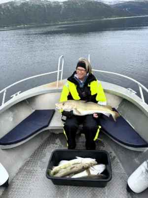Person sitting at the front of a boat holding a large cod during a private fishing tour near Tromsø, with calm fjord waters and green mountains in the background.