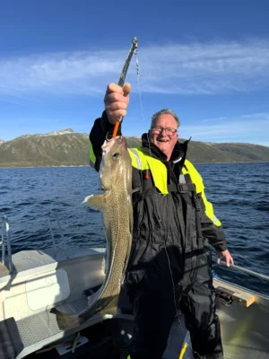 Smiling person holding up a large cod on a boat during a sunny private fishing tour near Tromsø, with clear blue sky and mountain backdrop.