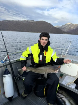 Person holding a large cod during a private fishing tour near Tromsø, with Arctic mountains and calm sea in the background.