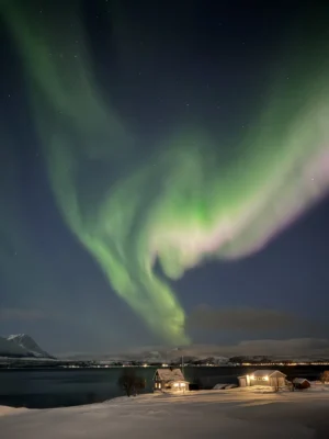 Northern Lights above coastal houses near Tromsø during a private Northern Lights tour