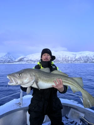 Guest holding a large cod during a private fishing tour in the Tromsø fjords with snowy Arctic mountains