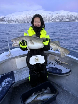 Guest holding a large cod on a boat during a private fishing tour in Tromsø fjords with snowy mountains in the background
