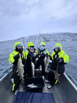 Group of guests holding cod caught during a private fishing tour in the Tromsø fjords
