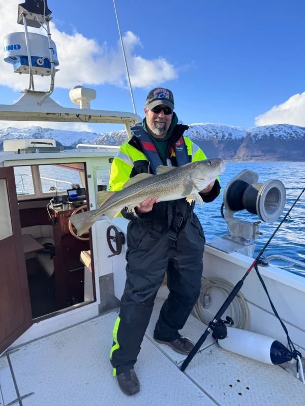 Guest holding cod on private fishing tour Tromsø aboard cabin boat with Arctic fjord and mountains