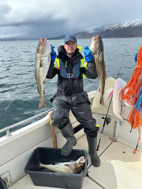 Guest holding cod during private fishing tour Tromsø on Arctic fjord waters