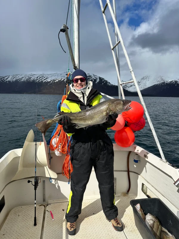 Guest holding cod on private fishing tour Tromsø with Arctic mountains and fjord in the background